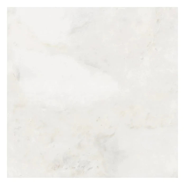 Dolomiti Congelados Marble 24 X 24 Tile